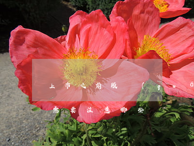 上市之前股權(quán)激勵計劃制定中，需要注意哪些問題？